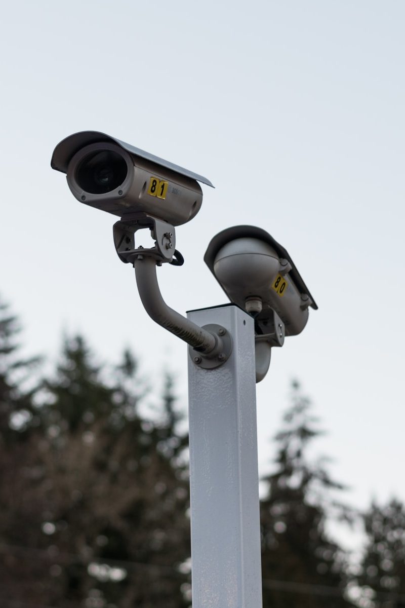 two cameras on top of a pole with trees in the background